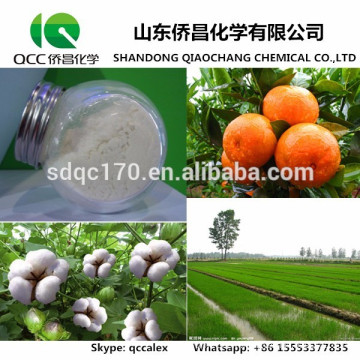 Factory supply Effective insecticide Buprofezin 97%TC 25%WP 65%WP 40%SC 69327-76-0